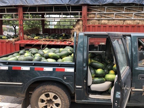 行善最樂，端午之際赫茲曼電力扶貧獻愛心