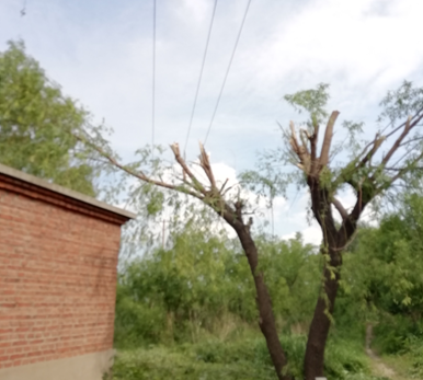 電氣事故引發(fā)加州山火，據(jù)說這個裝置可以避免事故發(fā)生！