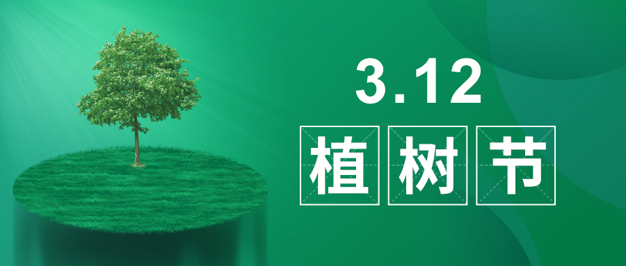 3.12植樹節(jié)|除了植樹，我們還能做什么？